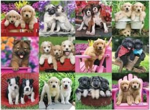 500 Parça Puzzle Köpek Yavruları