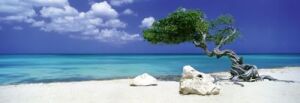 Heye Puzzle 1000 Parça Divi Divi Tree HEY29399
