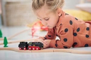 33884 Pilli Buharlı Tren