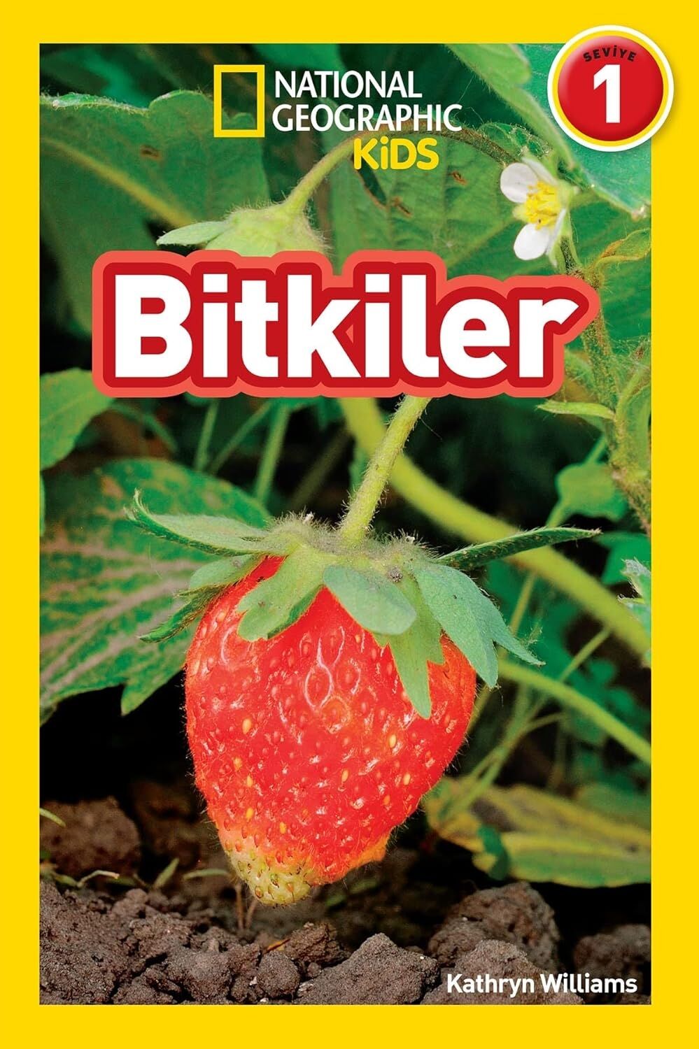 Bitkiler (Kapak Değişebilir)