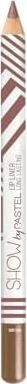 Pastel By Pastel Lip Liner 205 1.14G