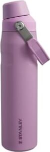 Aerolight Iceflow Içecek Şişesi, 0.60 Litre, Lila