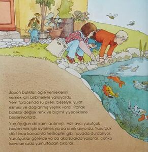 Eğlenceli Bilim – Su Altı