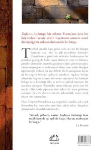 Taşların Anlattığı