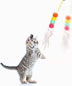Elastik Kendinden Yapışkanlı Solucan Kedi Oltası