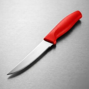 Paslanmaz Çelik Meyve Bıçağı Seti, Kırmızı Saplı, 12 Parça, Mutfak Bıçakları