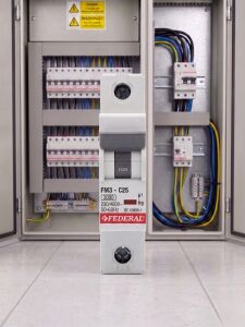 1 Adet Federal 1X25 A C Tipi 3ka Otomatik Sigorta Fm3-C 9EC-C0331-0D25