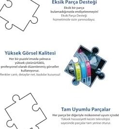 Kamp Ateşi 1000 Parça 2