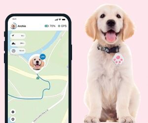 Mobil Uygulamalı Evcil Hayvan Takip Cihazı