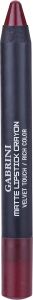Lipstick Crayon 11