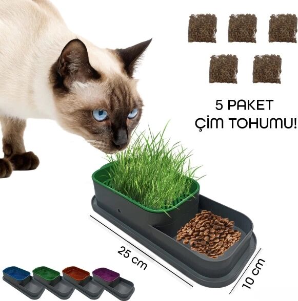 Topraksız Kedi Çimi Kabı