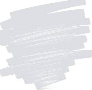 Pilot Pintor Ef, Gümüş