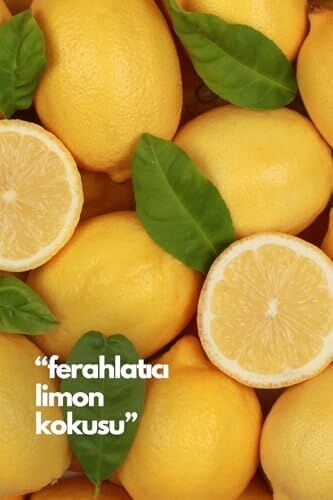 Lemon-Limon Oda Kokusu Yedek Makine Spreyi 250 ml