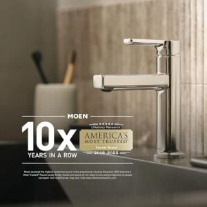 Moen T90331WR Push-N-Lock Küvet ve Duş Tahliye Kiti 1-1/2 Inç Konular, Ferforje