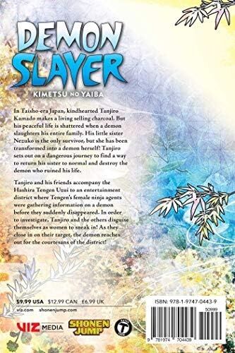 Slayer: Kimetsu No Yaiba, Vol. 9: Volume 9