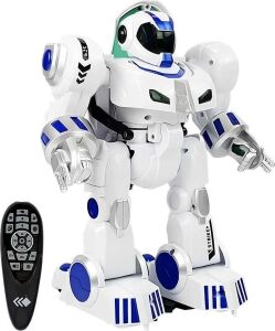 K4 Büyük Uz Kum Robot