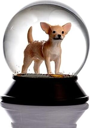 Cam ve Reçine Altın Patiler Köpek Chihuahua (Kayısı) Kar Küresi Hediye