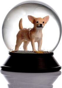 Cam ve Reçine Altın Patiler Köpek Chihuahua (Kayısı) Kar Küresi Hediye