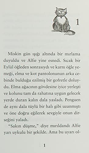 Penguen Adında Bir Kedi