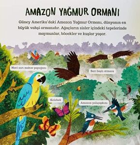 Çevremizdeki Dünya - Orman