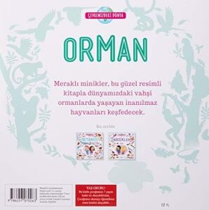 Çevremizdeki Dünya - Orman