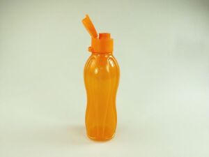 To Go Eco 500 ml Turuncu Parlak Şişe Meyve Suyu Su Şişesi Öko 10307