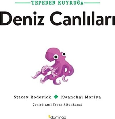 Tepeden Kuyruğa - Deniz Canlıları