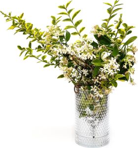 Diamond Cam Vazo/mumluk (17 Cm)