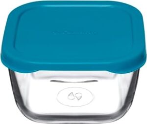 Snow Box Saklama Kabı 275 cc Plastik Turkuaz Kapaklı