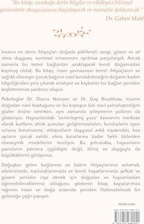 Evrimleşmiş Yuva