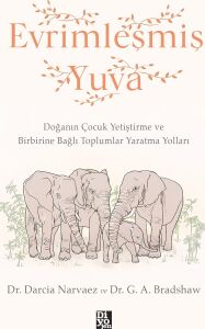 Evrimleşmiş Yuva