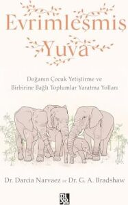 Evrimleşmiş Yuva