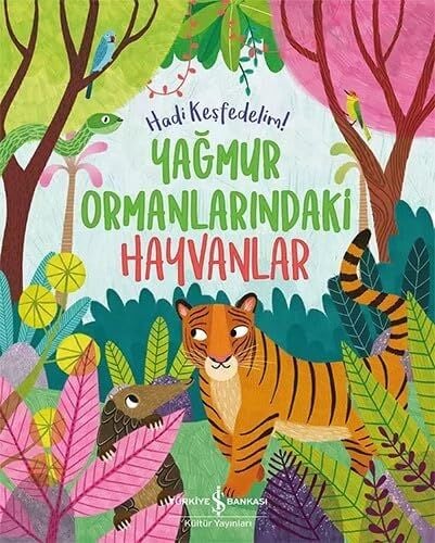 Yağmur Ormanlarındaki Hayvanlar: Hadi Keşfedelim!