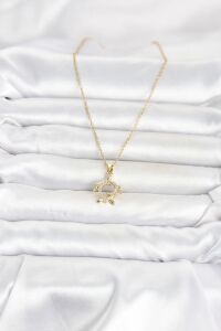 316L Çelik Zincir Gold Renk Caretta Caretta Model Kadın Kolye