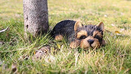 Runadı Hi- Line Gift 87710-M Yorkshire Terrier Köpek Uyuyan Evcil Hayvan Dostları Heykeli, Siyah
