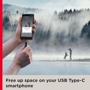 128GB Ultra Dual Drive Go USB Type-C Drive, Sürücü SDDDC3-128G-G46
