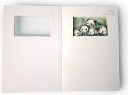 3D Hi Panda Temalı Defter