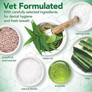 Best Aloe Vera ve Nane Özlü Köpek Diş Macunu 100 gr ve Parmak Fırça