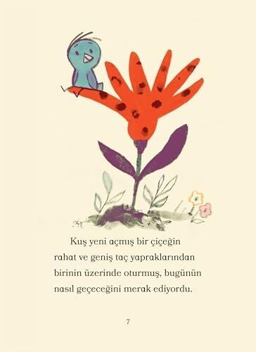 Ayı ile Kuş - Piknik ve Diğer Öyküler