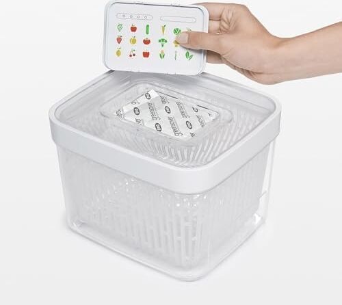 Greensaver Aktif Karbon Filtre - Gıda Saklama Kutuları Için 4 Yedek Filtre