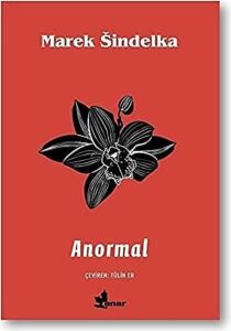 Anormal