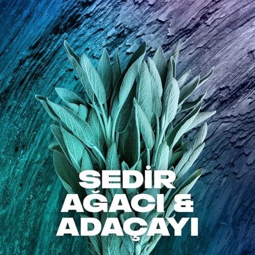 Erkek Sprey Deodorant Apollo 48 Saat Etkileyici Koku Vücut Spreyi 150 ml