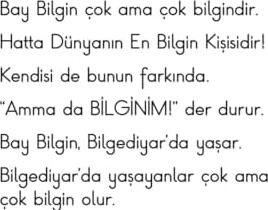 Bay Bilgin