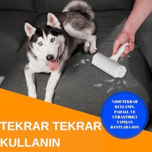Micron Hazneli Kedi Köpek Tüy Temizleyici Kıl Toz Toplayıcı Kazak Halı Tiftik Temizleyici Gırgır 2 Yönlü Oda Kokusu Hediyeli