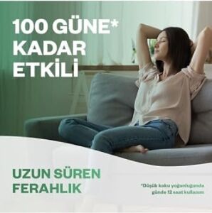 Elektrikli Oda Kokusu Yedek Şişe Temizliğin Esintisi x 2 - Esansiyel Yağlar Içerir*