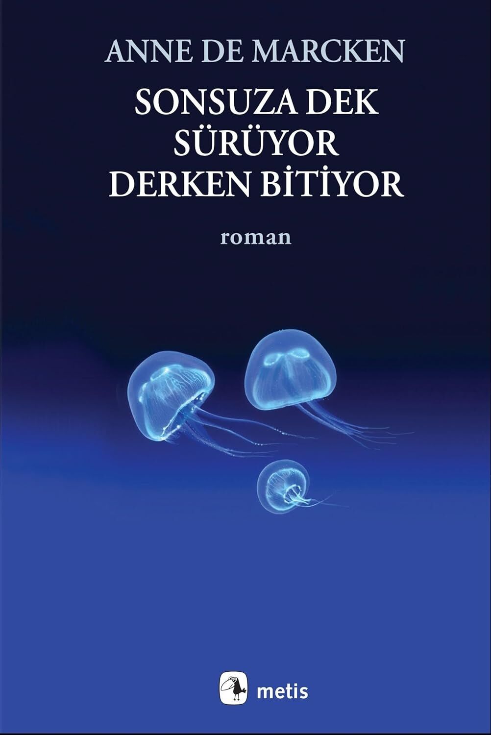 Sonsuza Dek Sürüyor, Derken Bitiyor