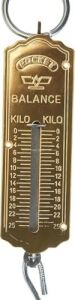 El Kantarı, 25 kg Kapasiteli, Metal Gövdeli, Sarı Levhalı, Taşınabilir, Et Taşıma, Balık Avı Için, Hassas Tartı, Askı Kancalı, Pocket Balance, EK521