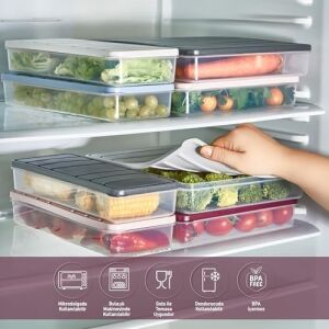 3'lü Set (1 Adet 2,25 2 Adet 1 Lt.) Nora Organizer Buzdolabı Buzluk Düzenleyici Saklama Kabı-Mürdüm