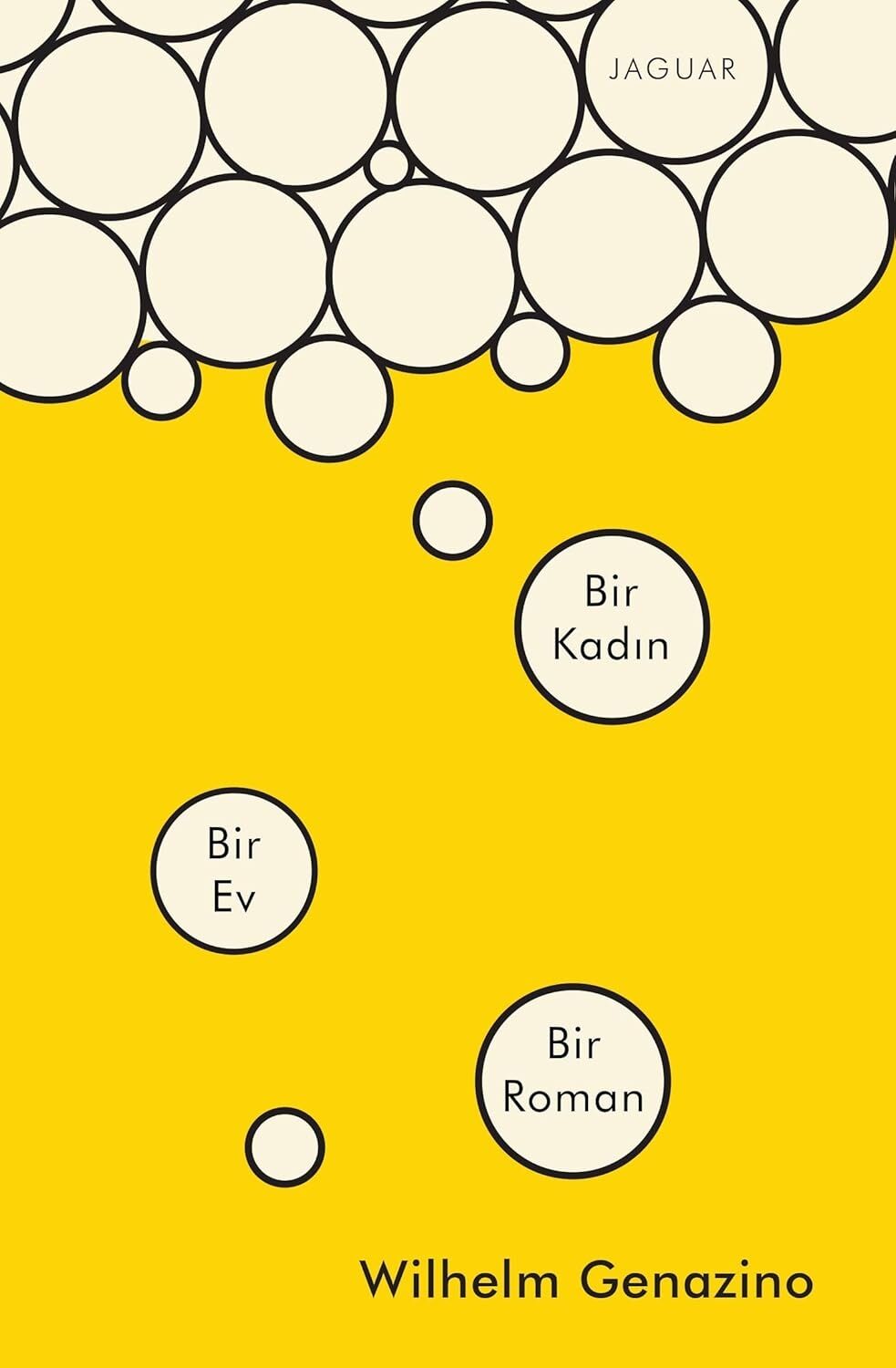 Bir Kadın Bir Ev Bir Roman