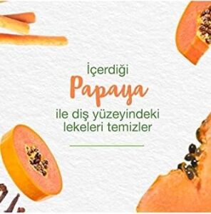 Himalaya Leke Karşıtı Bitkisel Diş Macunu, Florürsüz, Parabensiz, Vejeteryan, Leke Çıkartıcı, Bitkisel Enzim Teknolojisi, 75 ml